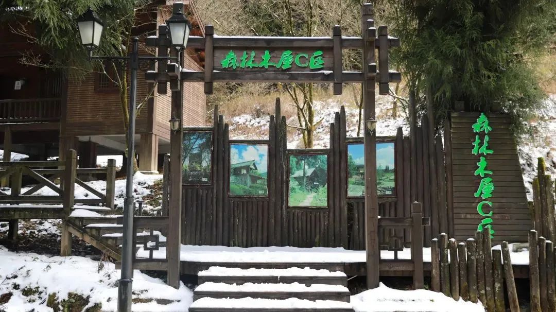 C7娱乐