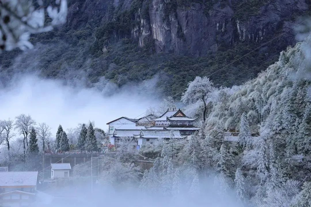 C7娱乐