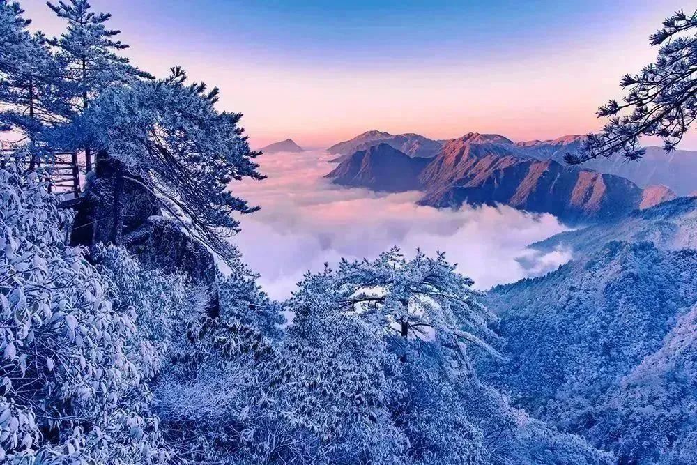 C7娱乐