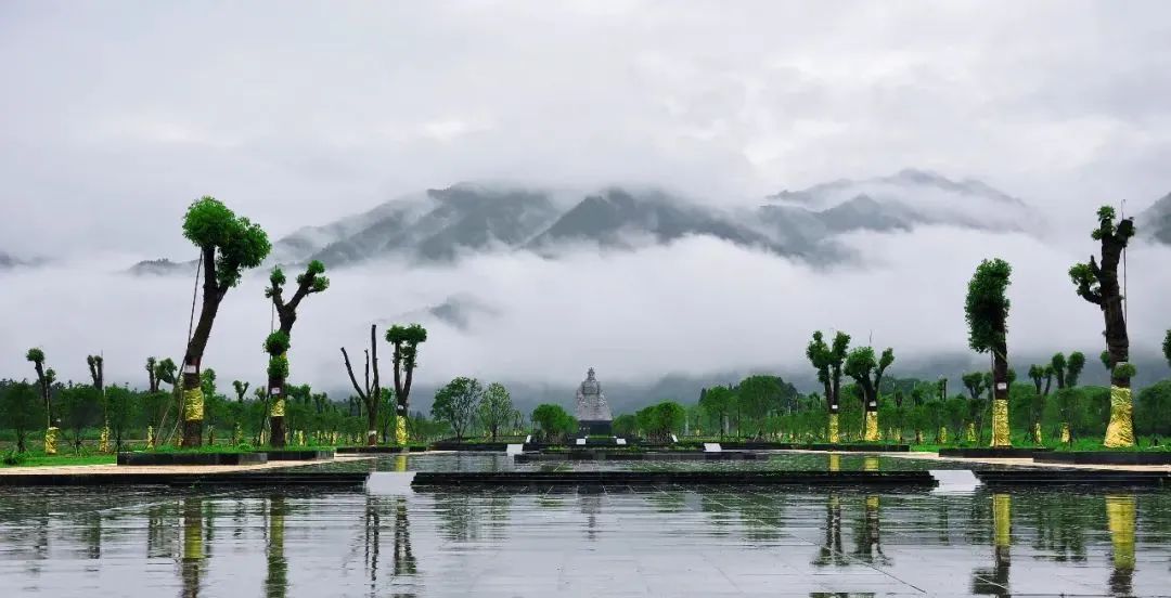 C7娱乐