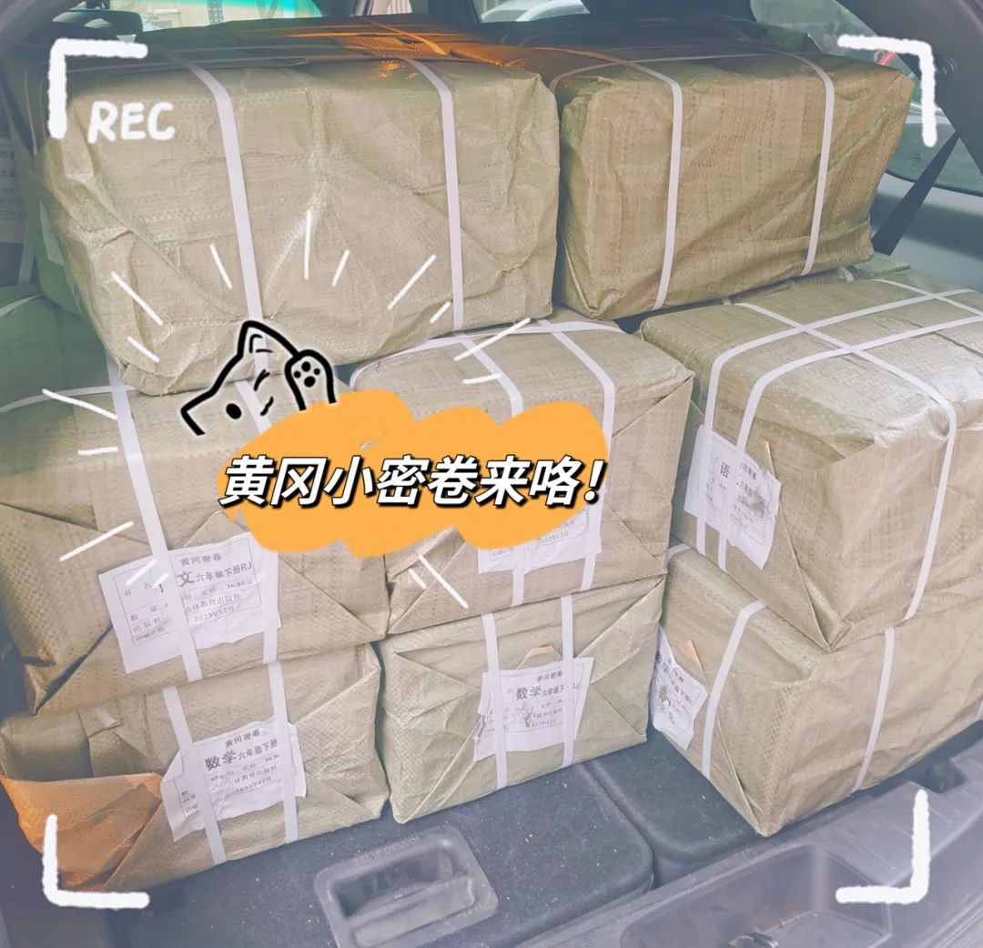 C7娱乐