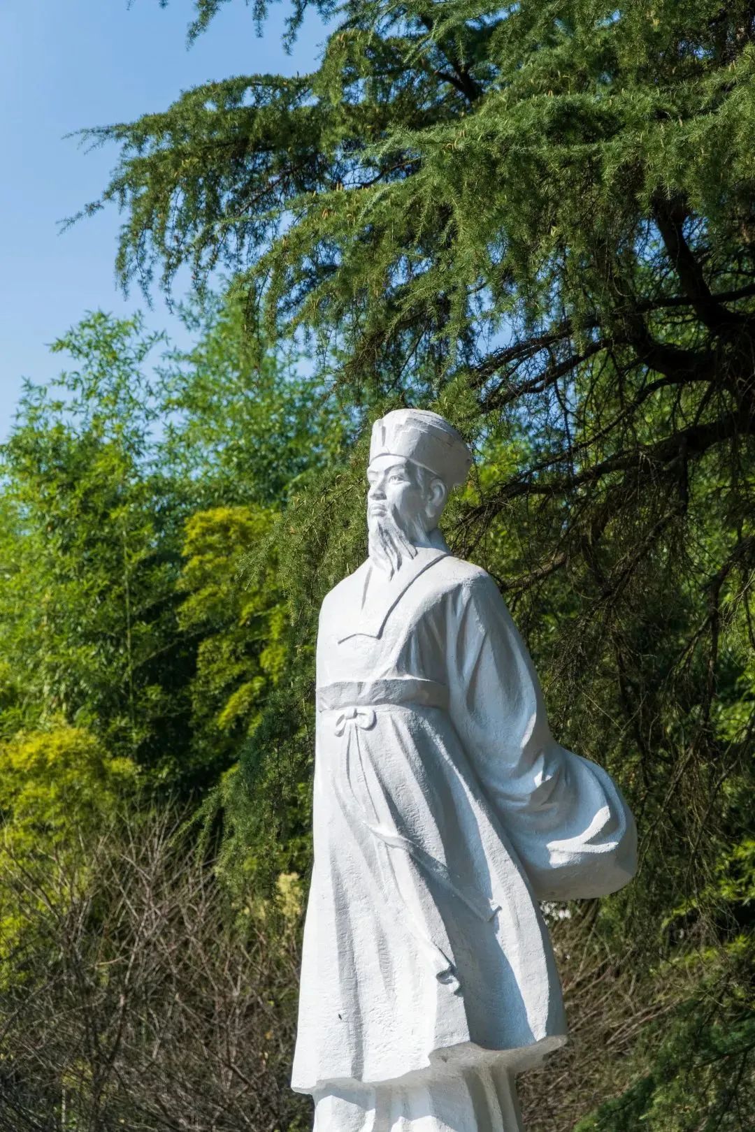C7娱乐