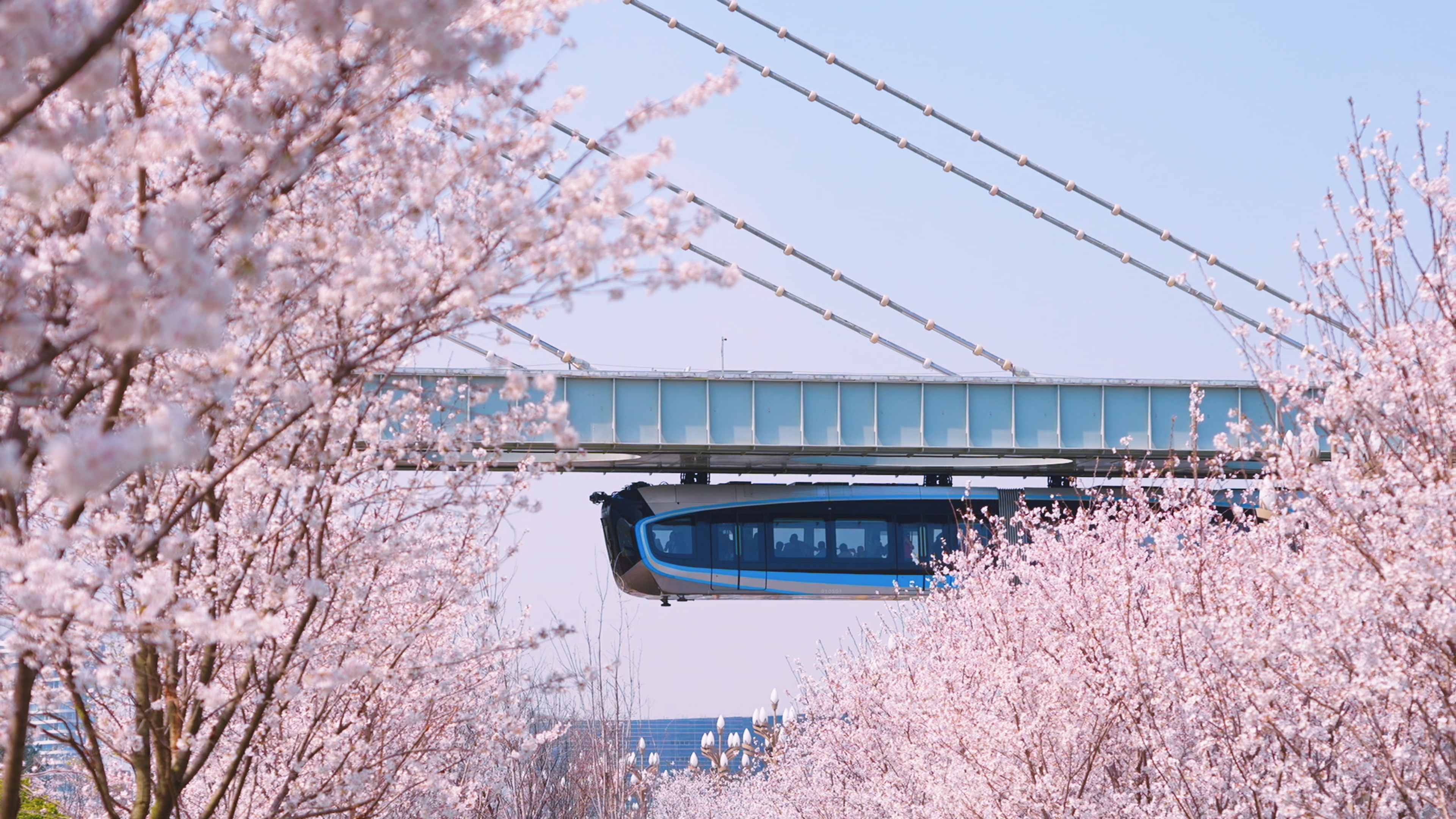 222.png C7娱乐