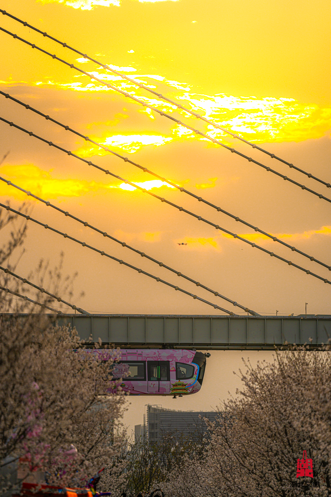 c8af74ed752c81348a4d9f4bd9a60701.png C7娱乐