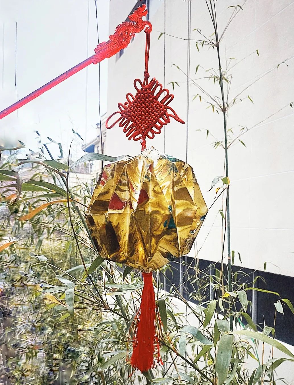 C7娱乐