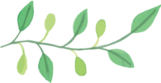 C7娱乐