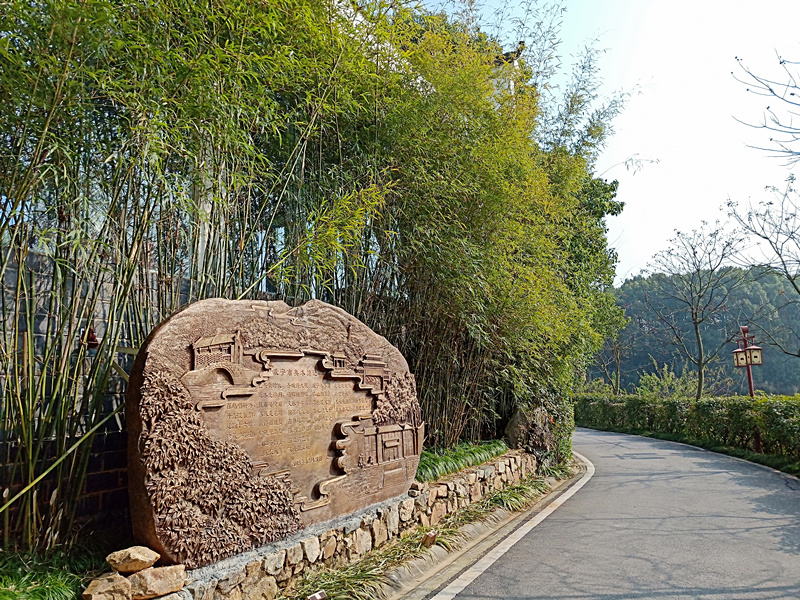 C7娱乐