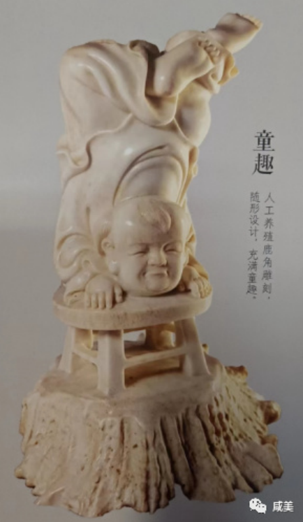 文字文稿1687.png C7娱乐