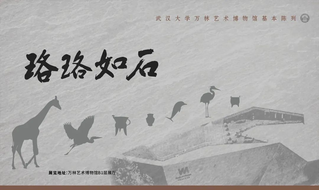 C7娱乐